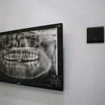 IMG 0873