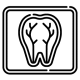 31_X Ray